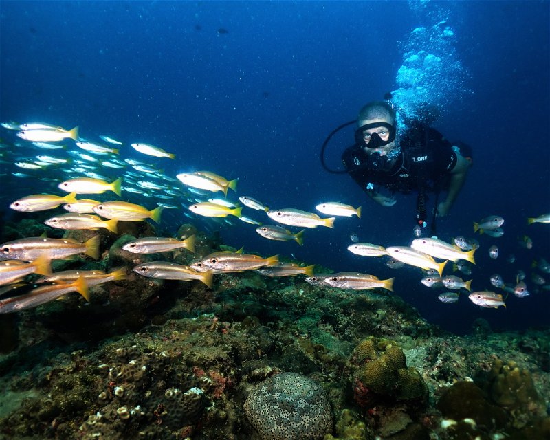 Divesite Image