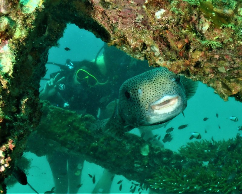 Divesite Image