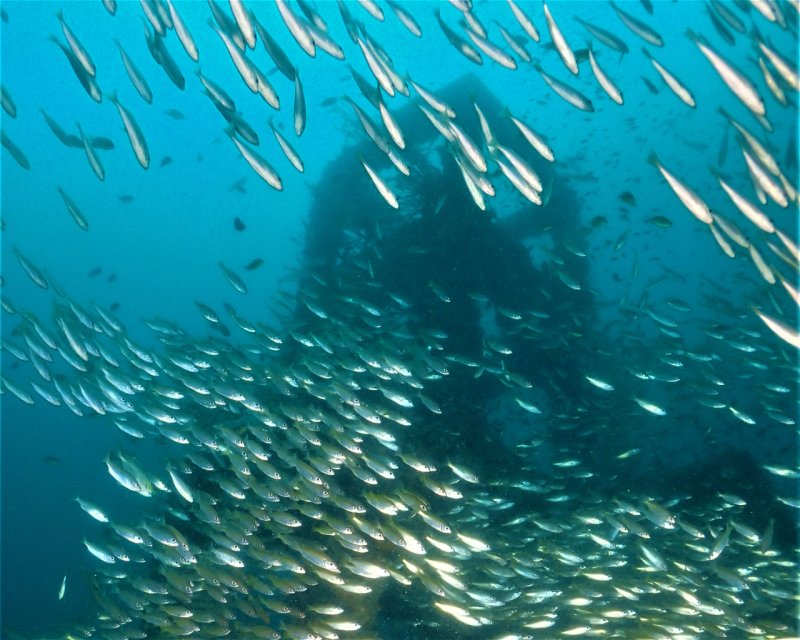 Divesite Image