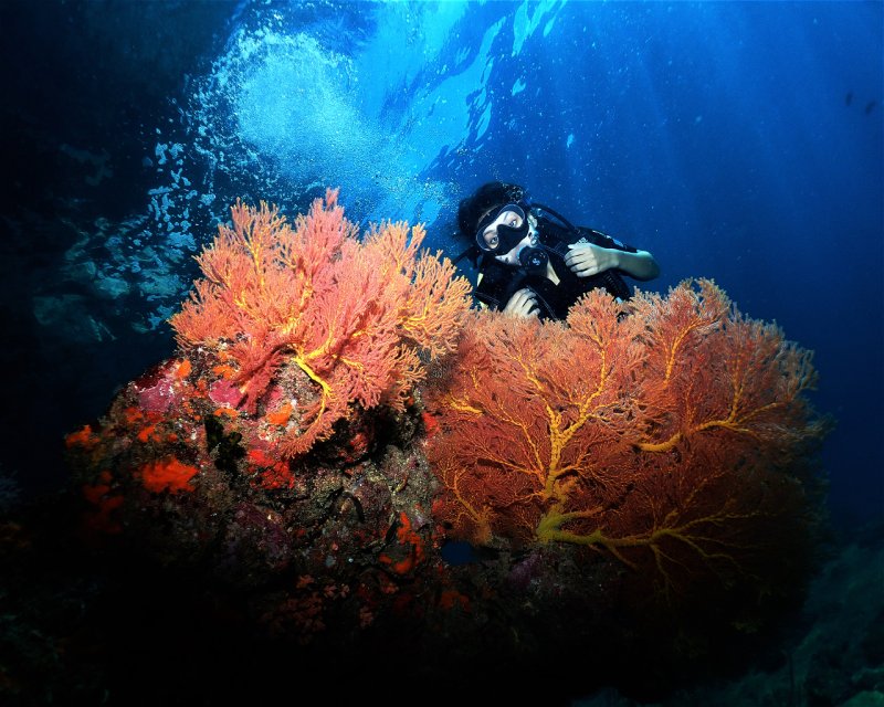 Divesite Image