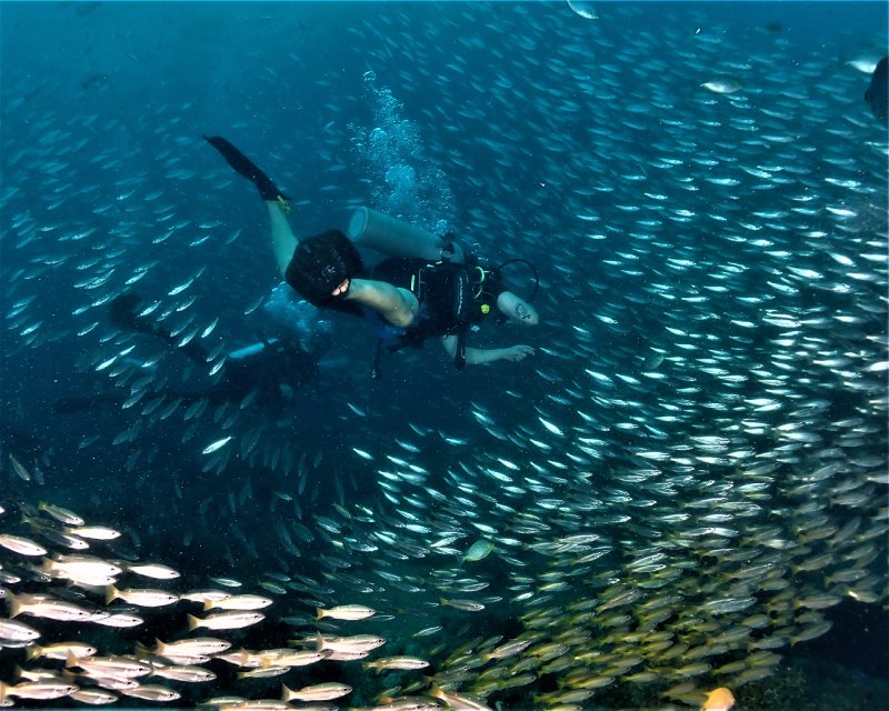 Divesite Image