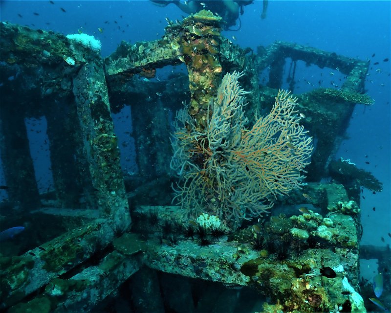 Divesite Image