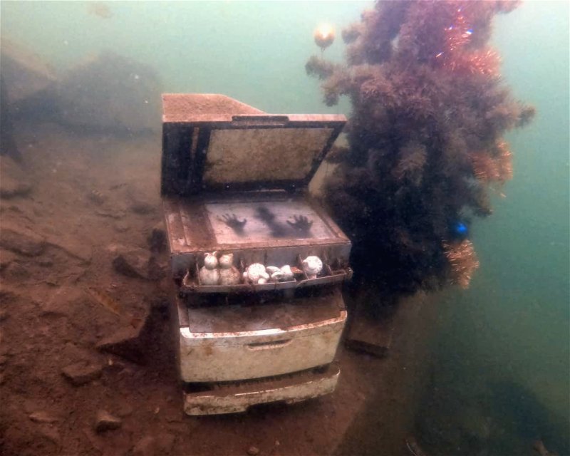 Divesite Image