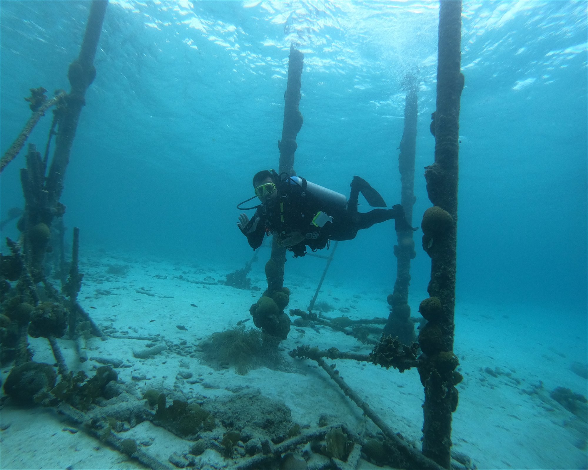 Scubaçao, Willemstad