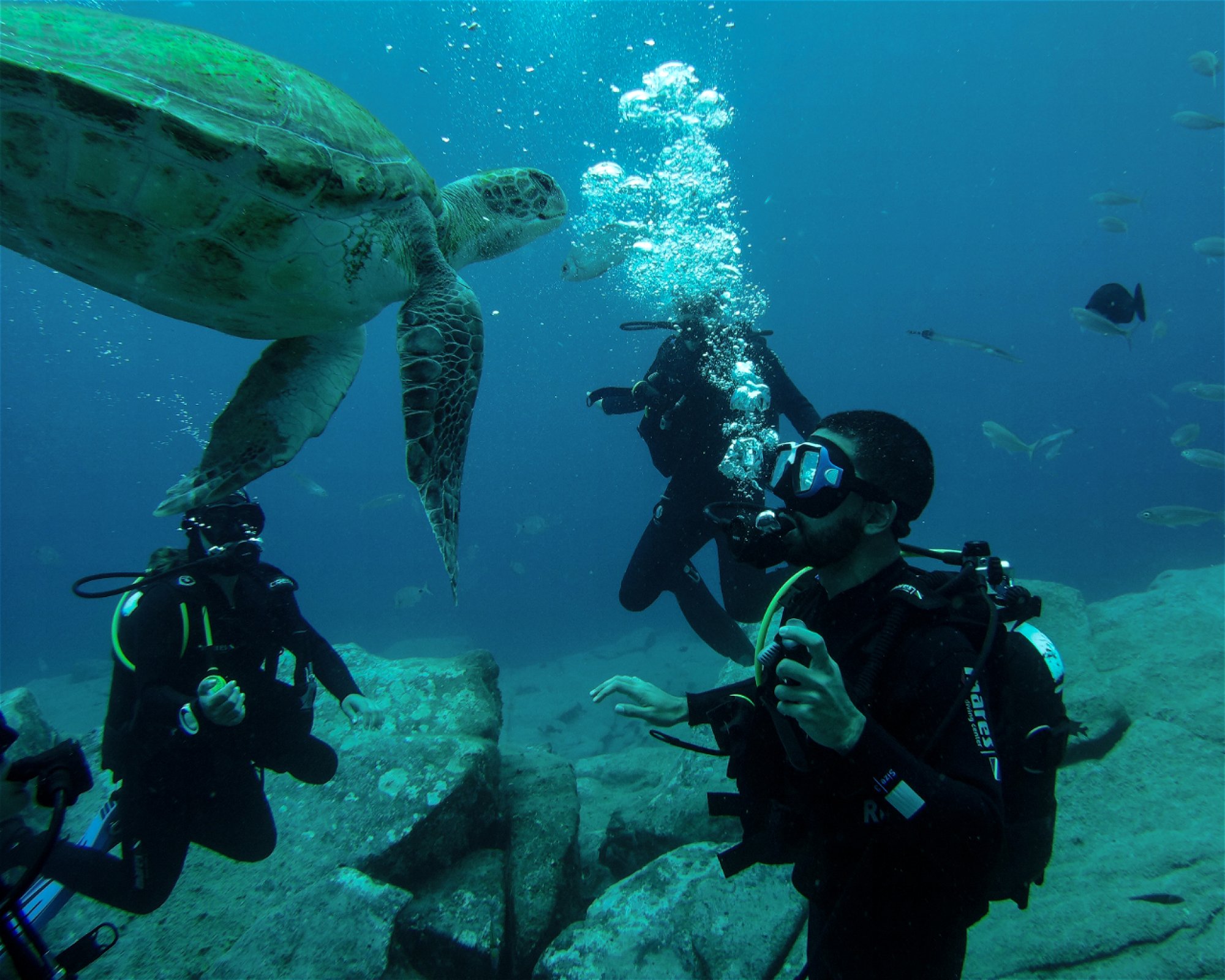 TENERIFE DIVE EXPERIENCE, 38660 SANTA CRUZ DE TENERIFE