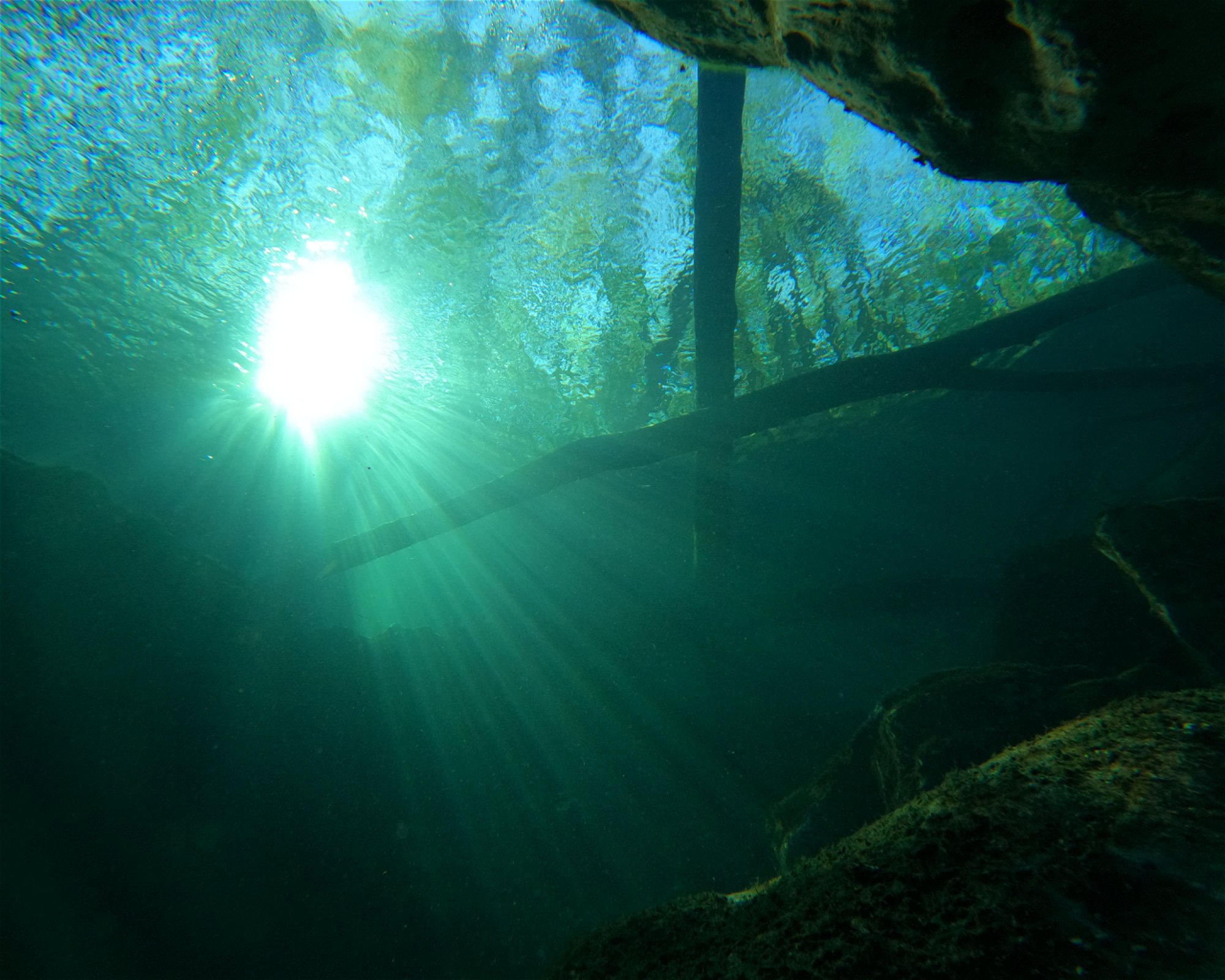 Heroes Dive Center, 34698 Dunedin