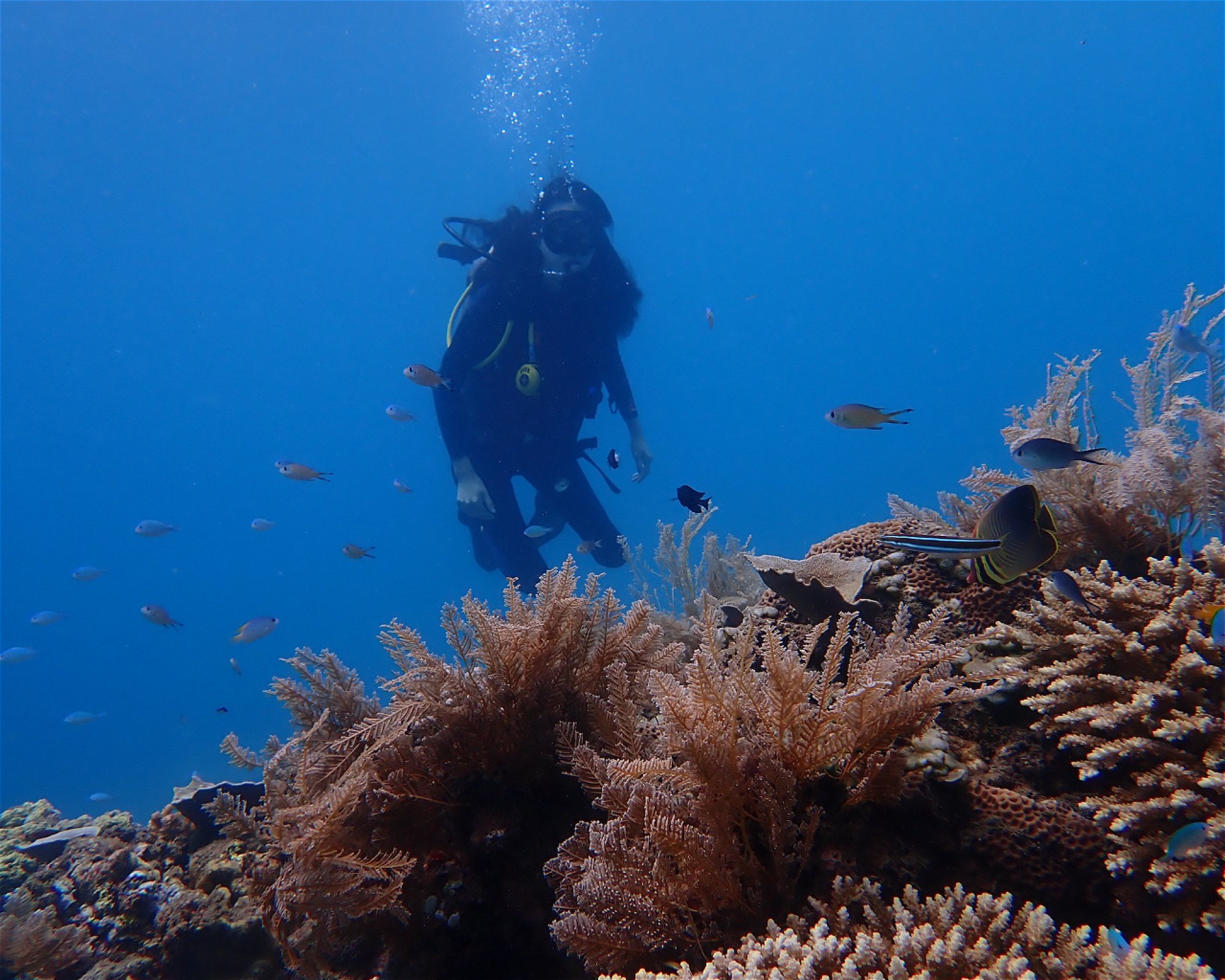Amed Buddha Diving, 80852 Bunutan
