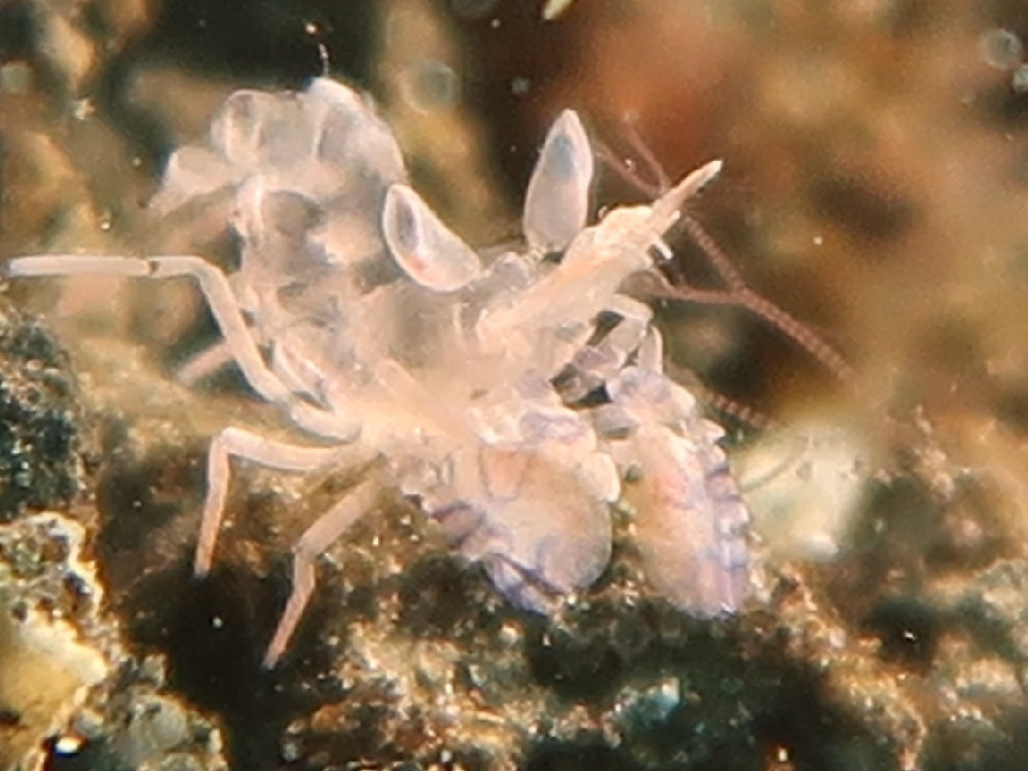 Herbert B. (#3821544)