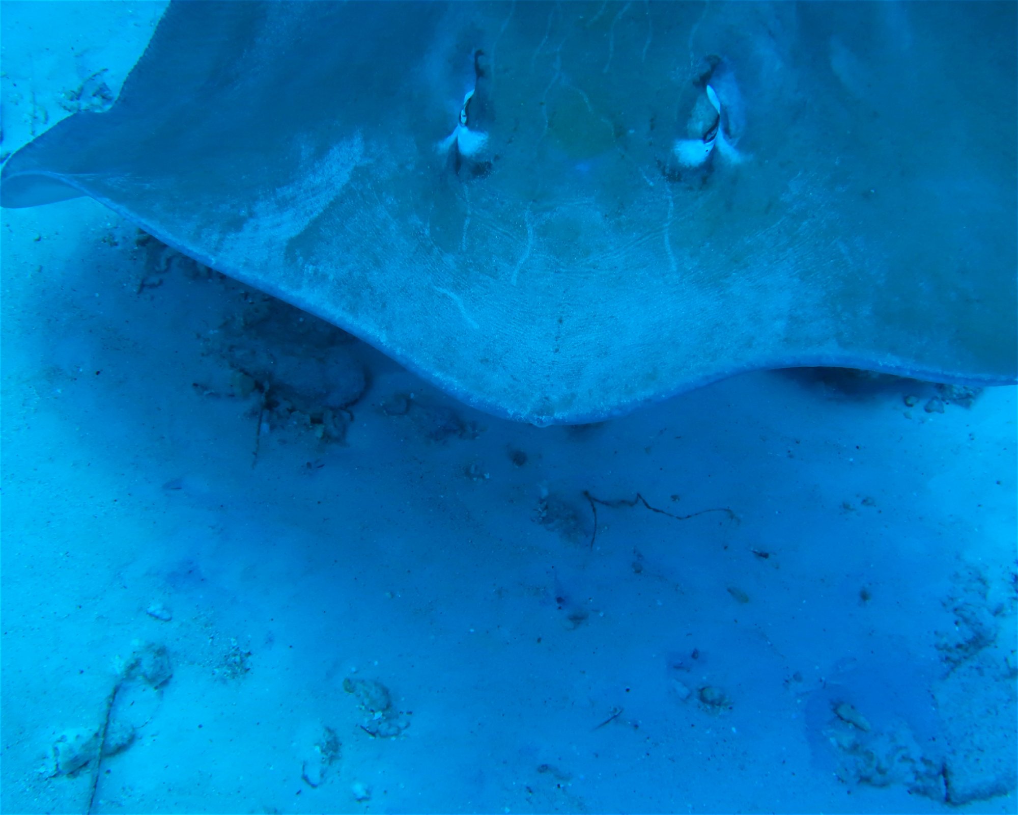 DivePoint Hudhuran Fushi, 20193 Male