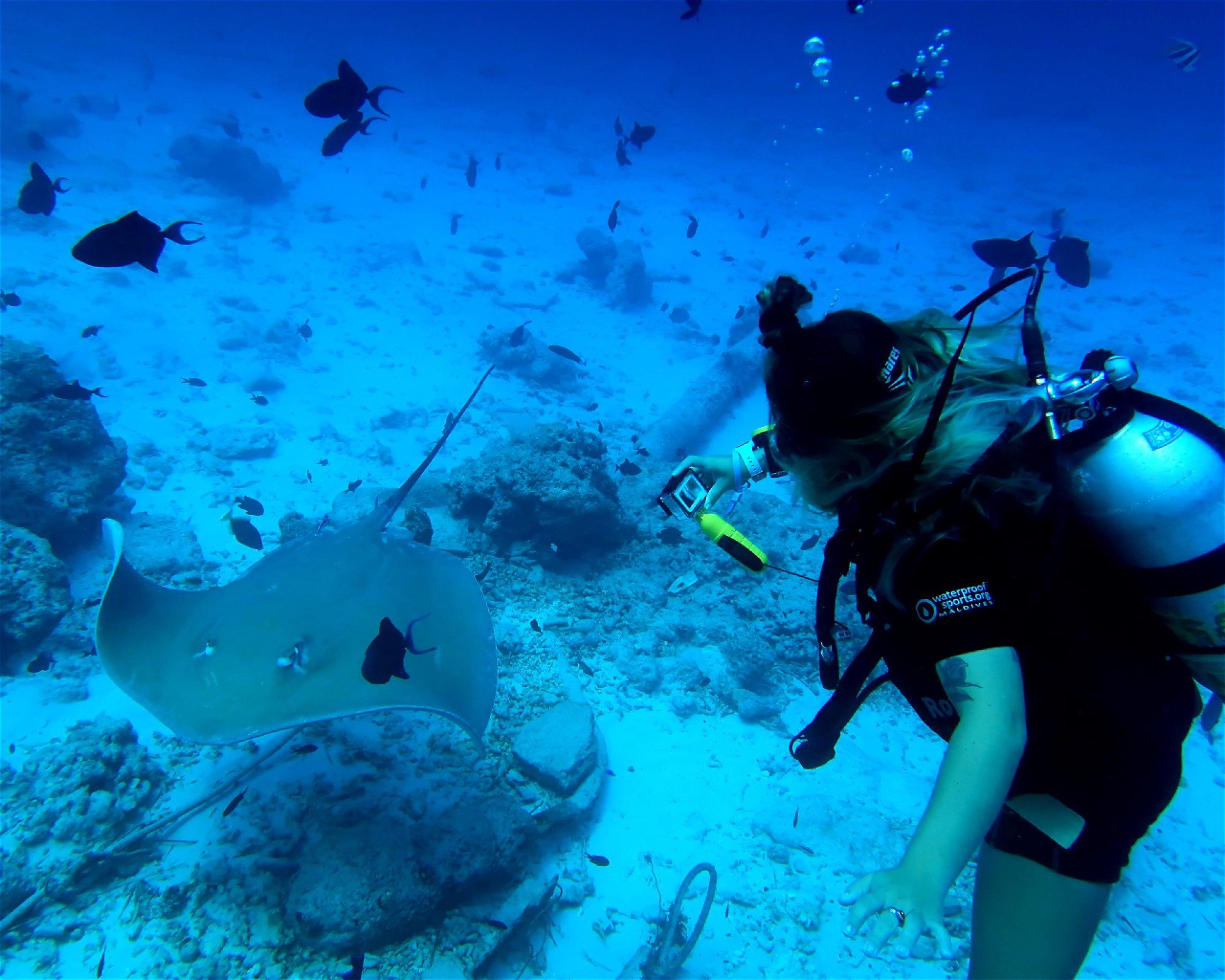 DivePoint Hudhuran Fushi, 20193 Male