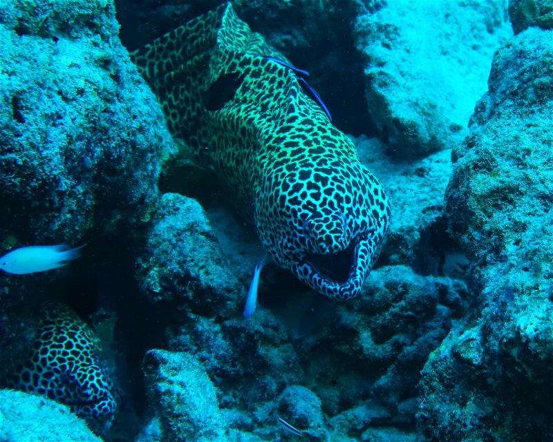 Divesite Image