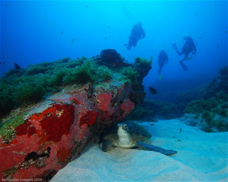 Divesite Image