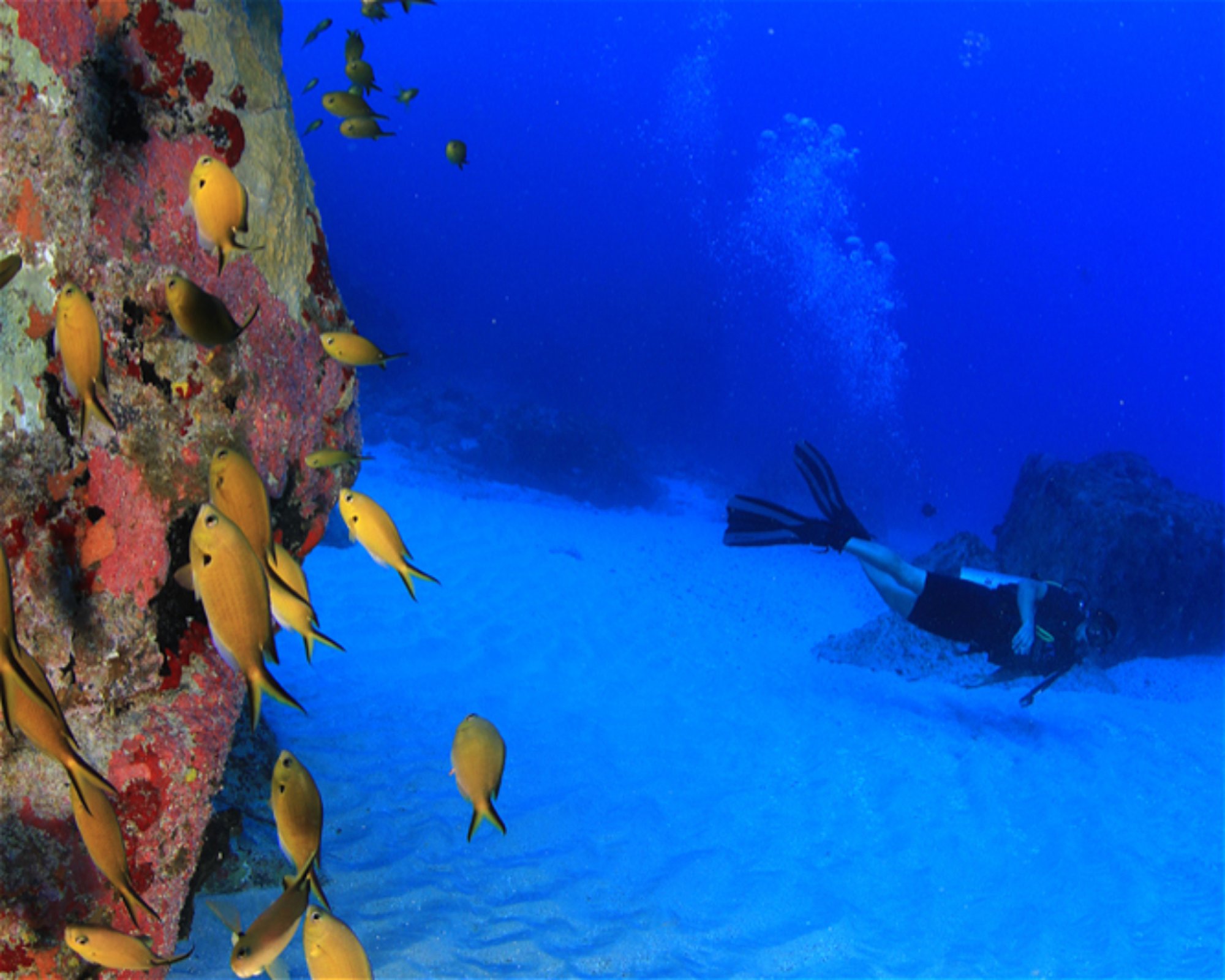 CNM DIVE, 13211-698 JUNDIAI
