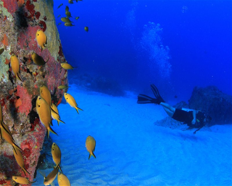 Divesite Image