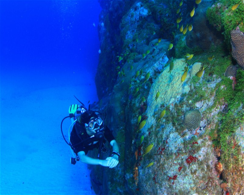Divesite Image