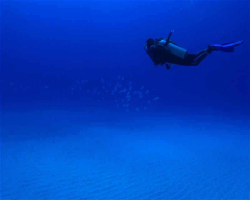 Divesite Image