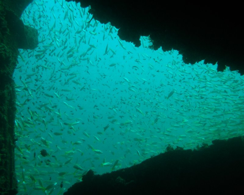 Divesite Image