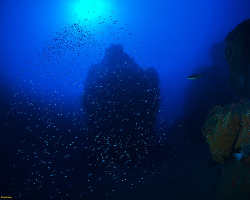 Divesite Image