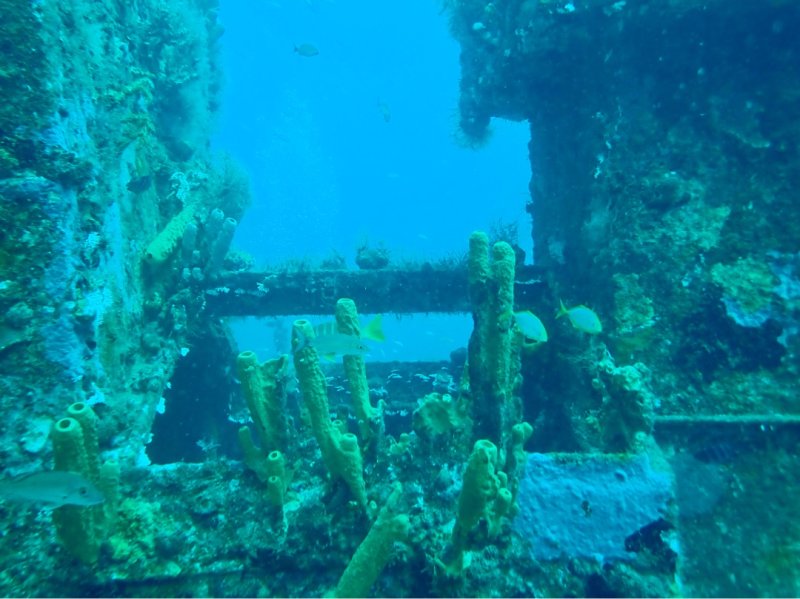 Divesite Image