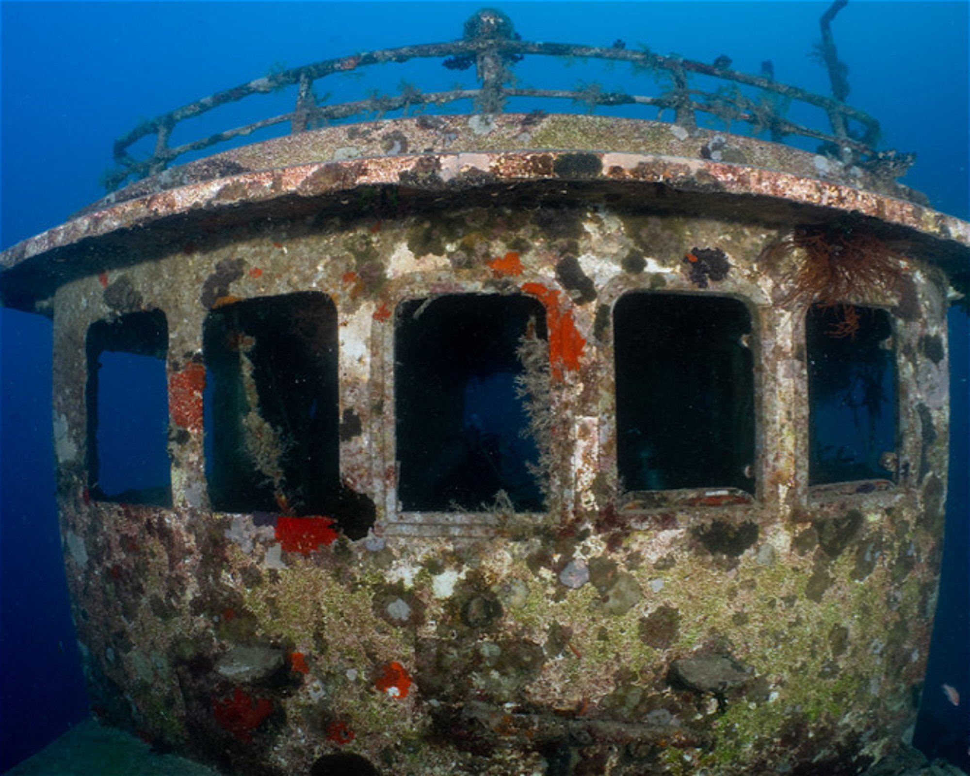 REEF SAFARI FIJI, 0000 NADI