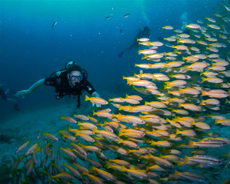 Divesite Image