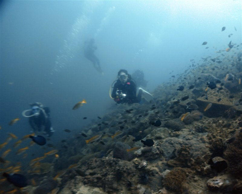 Divesite Image
