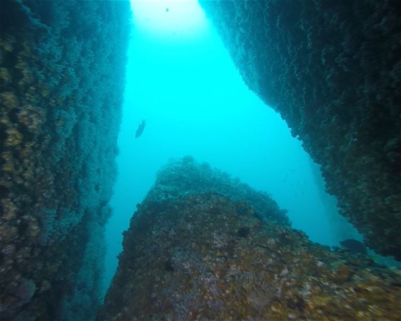 Divesite Image