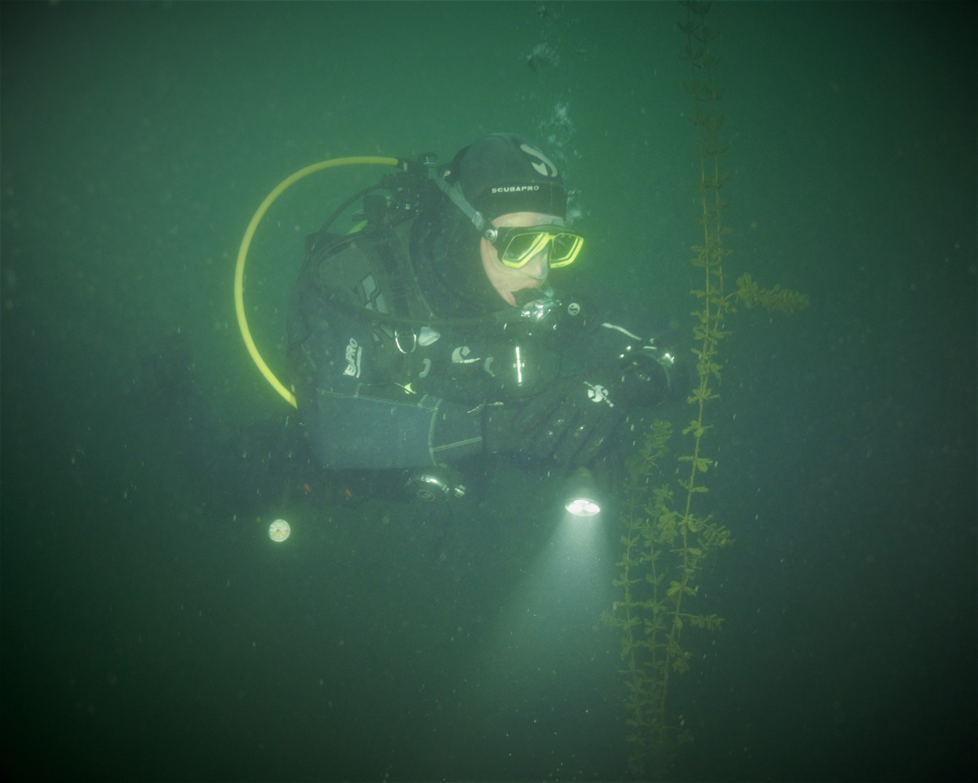Underwater - No. 1 Tauchsport GmbH, 50827 Köln