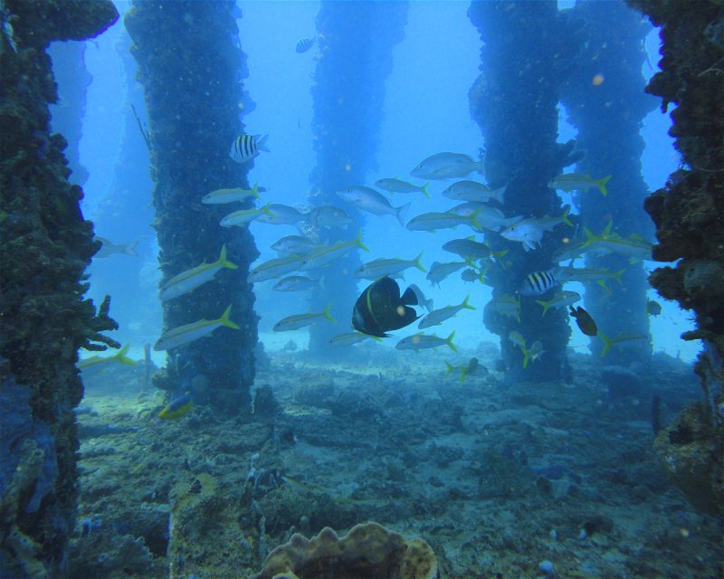 Divesite Image