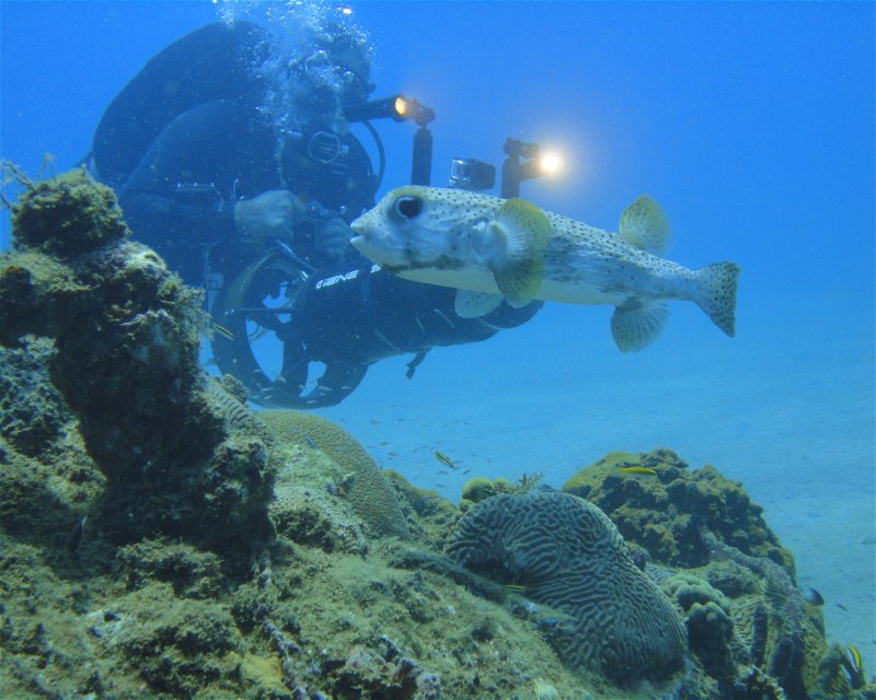 Divesite Image