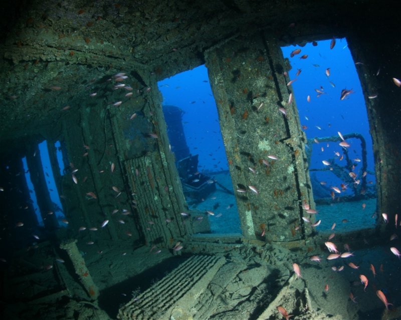 Divesite Image