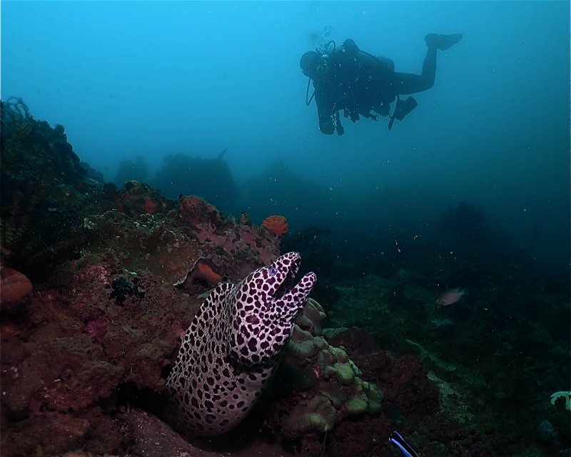 Divesite Image