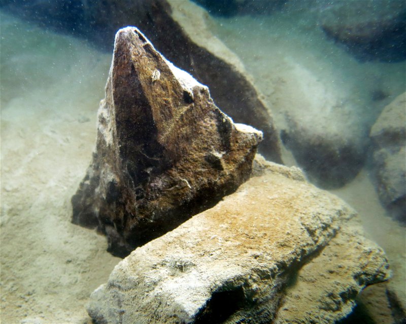 Divesite Image