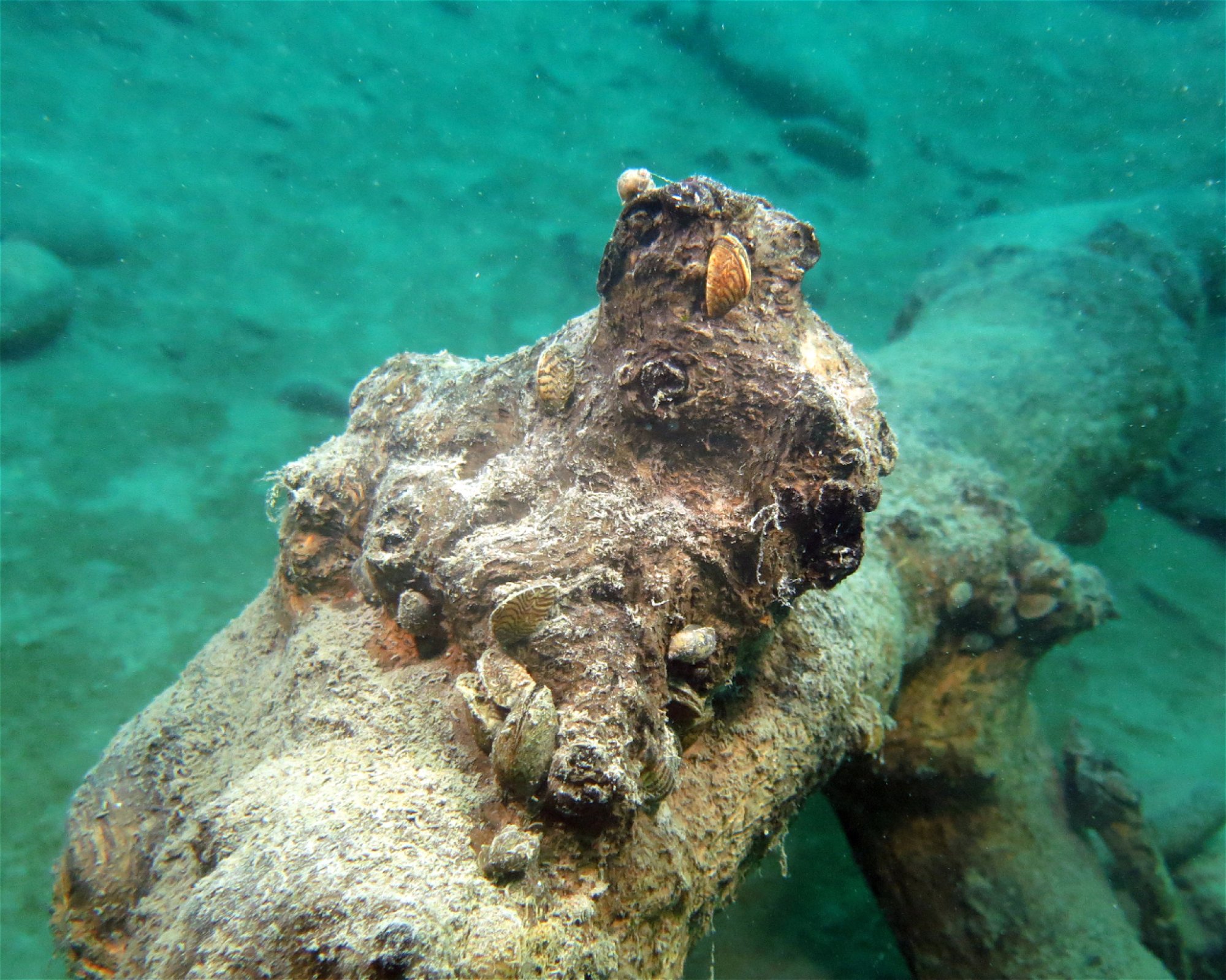 Dive Center Thunersee, 3652 Hilterfingen