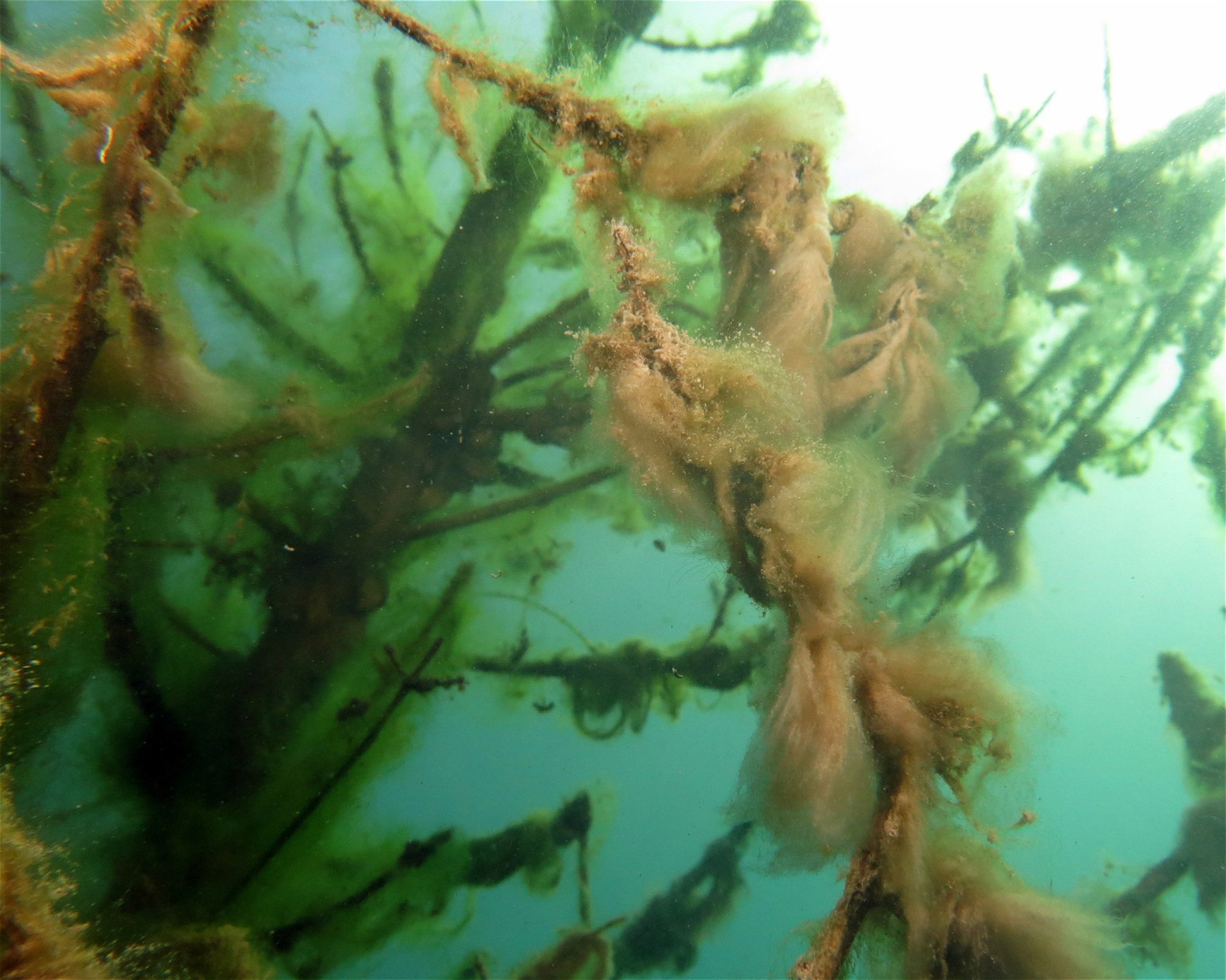 Dive Center Thunersee, 3652 Hilterfingen