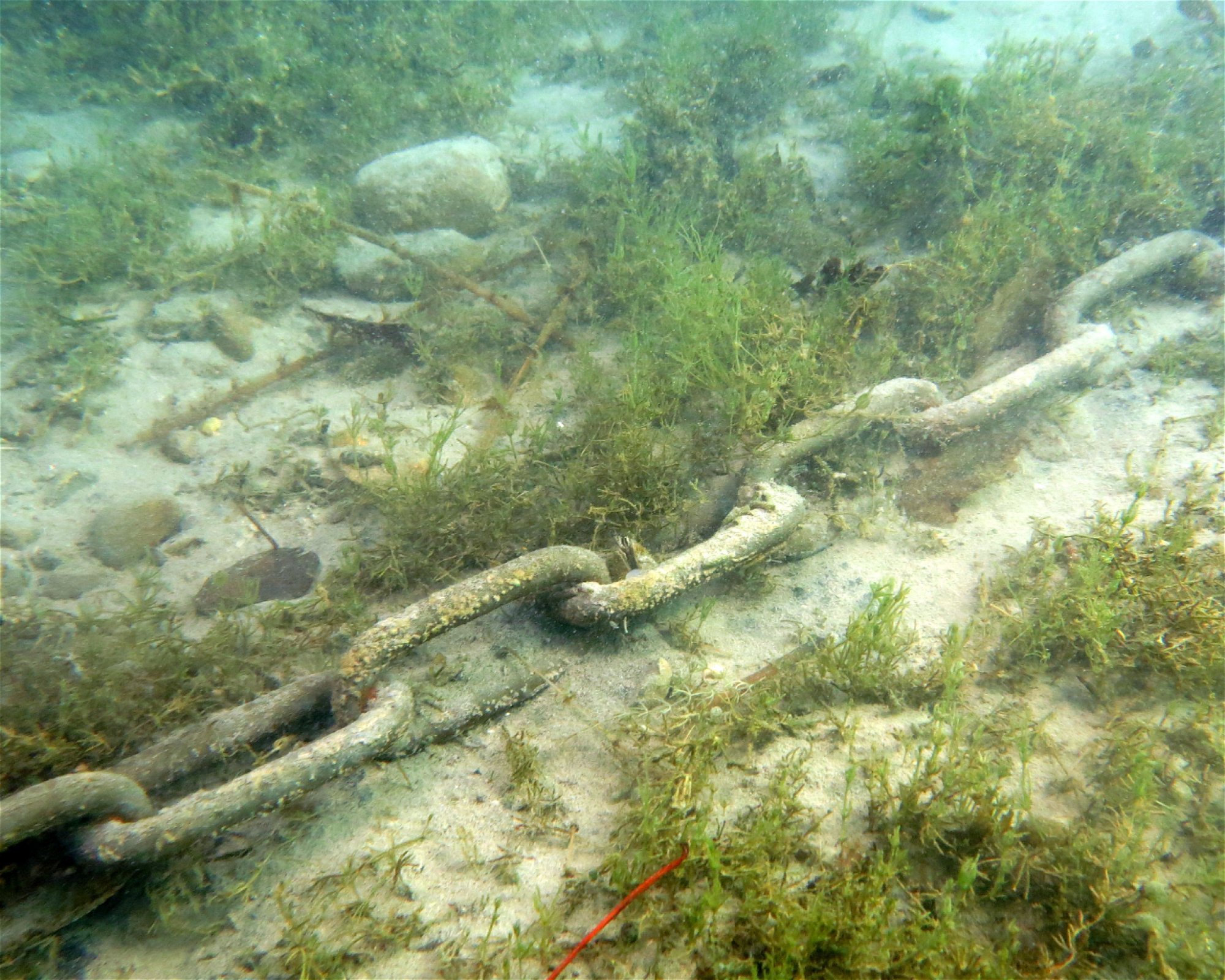 Dive Center Thunersee, 3652 Hilterfingen