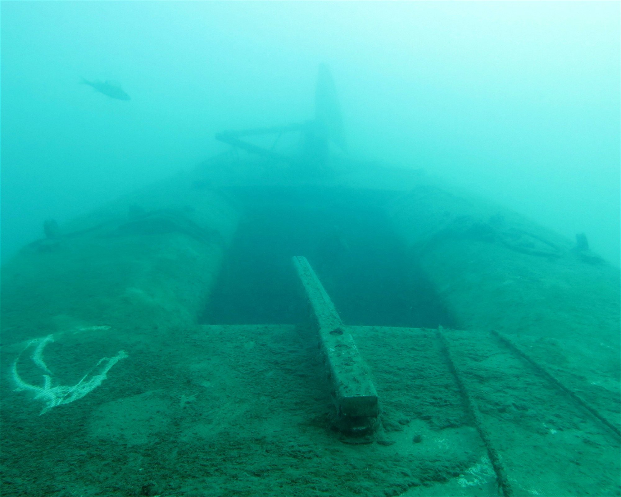 Dive Center Thunersee, 3652 Hilterfingen