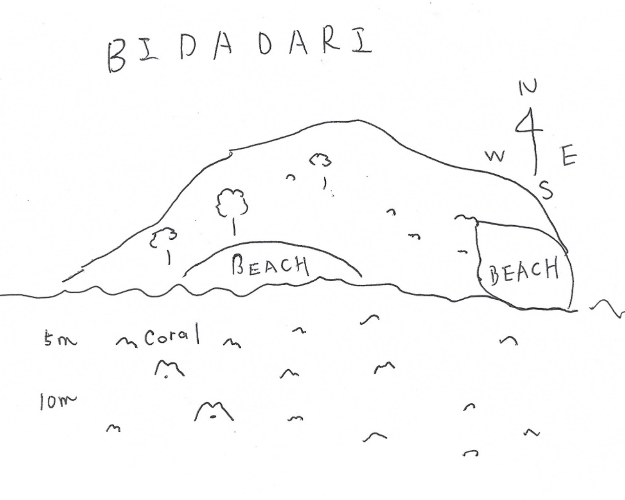 Divers Paradise Komodo, 86554 Nusa Tenggara Timur
