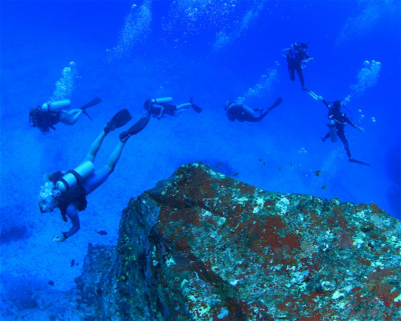 Divesite Image