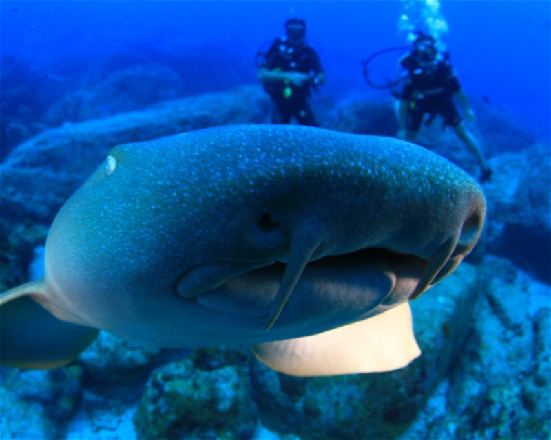Divesite Image