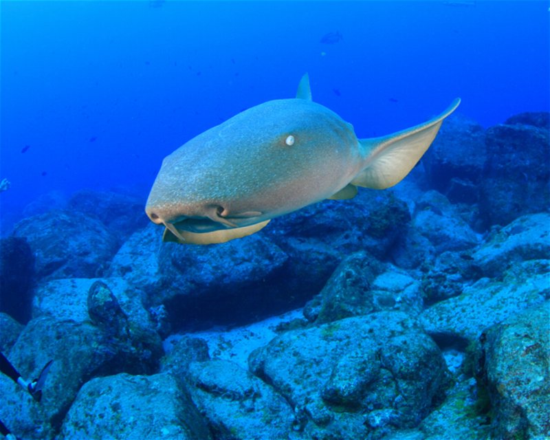 Divesite Image