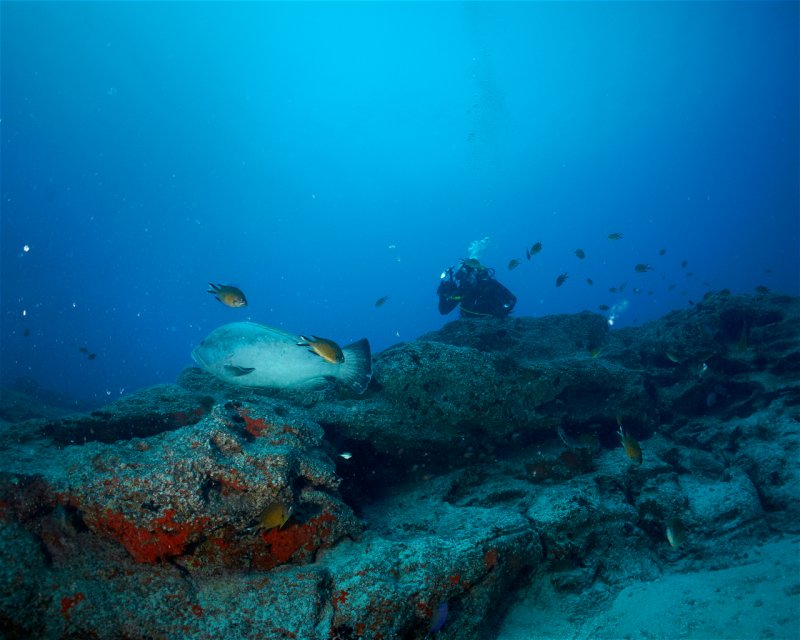 Divesite Image