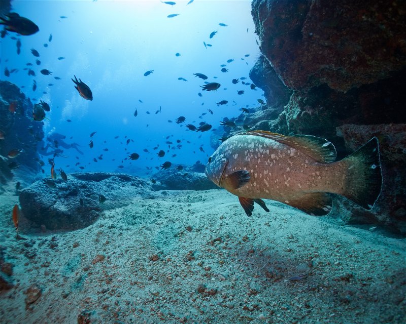 Divesite Image