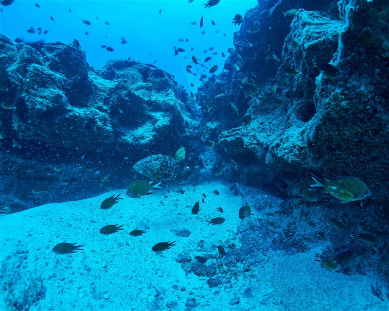 Divesite Image