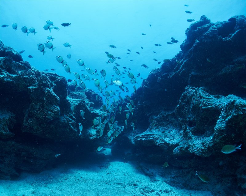 Divesite Image