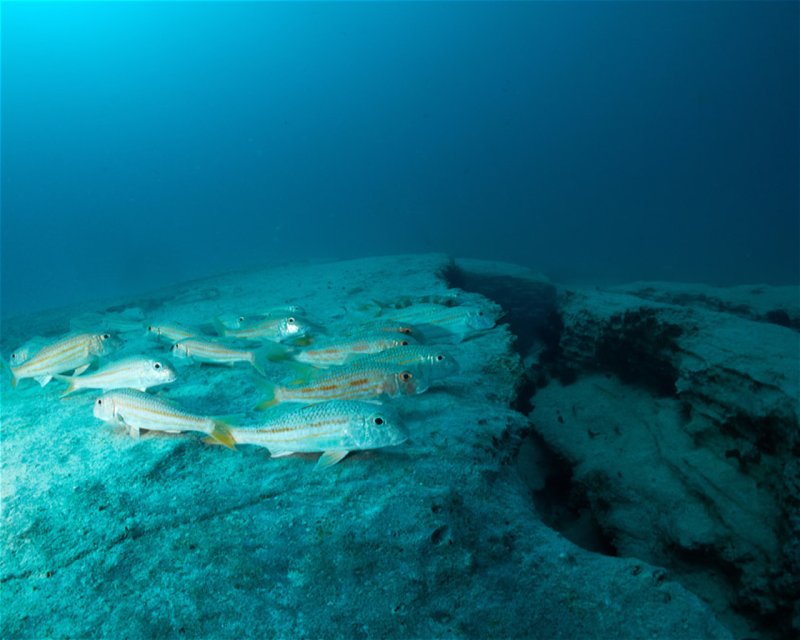 Divesite Image