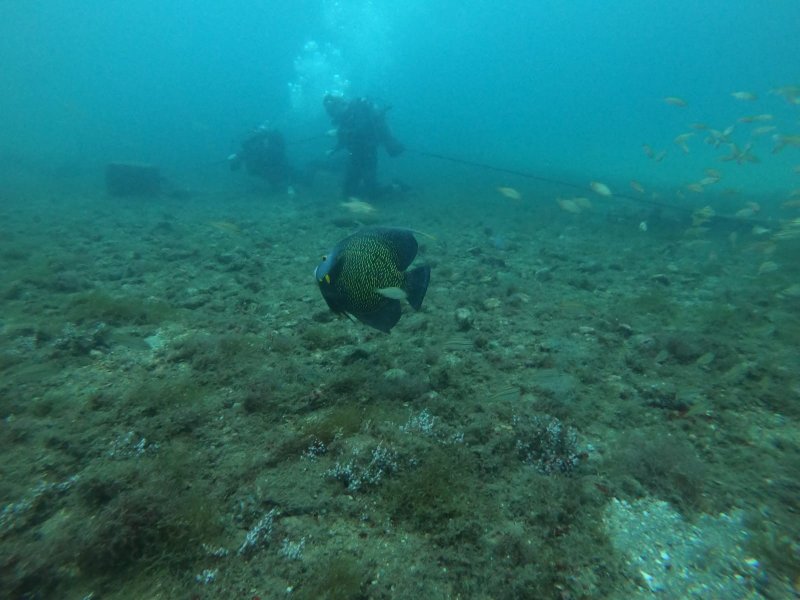 Divesite Image