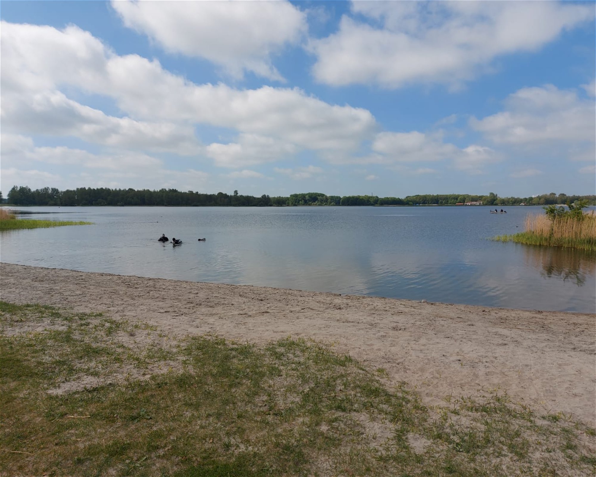 Duikcentrum The Wave, 2181 AK Hillegom