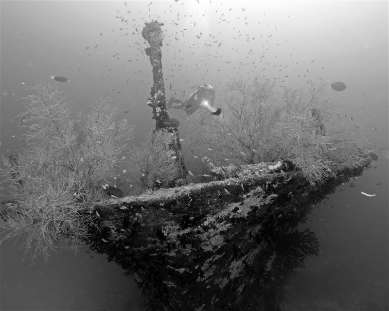 Divesite Image