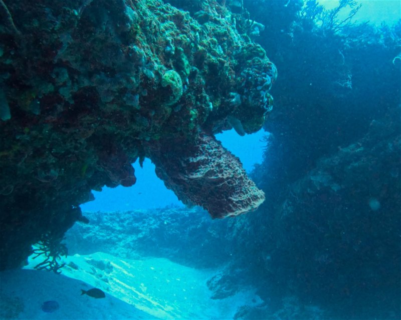 Divesite Image